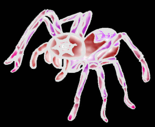 spider.jpg - 45350 Bytes